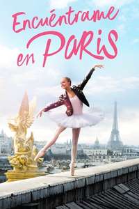 Find Me in Paris - Posters