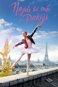 Find Me in Paris - Posters