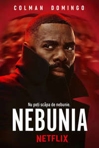 The Madness - Posters