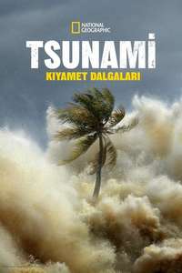 Tsunami: Race Against Time - Posters