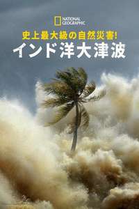 Tsunami: Race Against Time - Posters