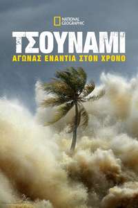 Tsunami: Race Against Time - Posters