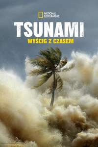 Tsunami: Race Against Time - Posters
