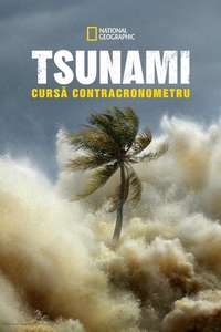 Tsunami: Race Against Time - Posters