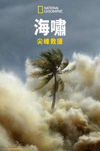 Tsunami: Race Against Time - Posters