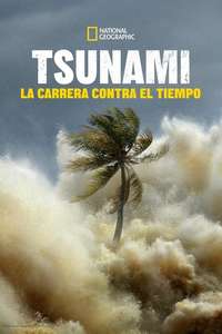 Tsunami: Race Against Time - Posters