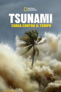 Tsunami: Race Against Time - Posters