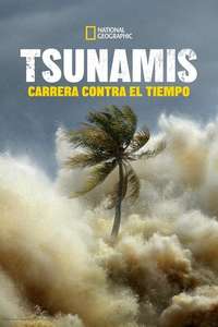 Tsunami: Race Against Time - Posters