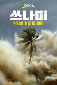 Tsunami: Race Against Time - Posters