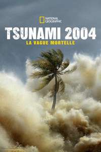 Tsunami: Race Against Time - Posters