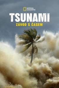 Tsunami: Race Against Time - Posters