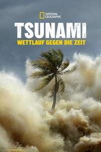 Tsunami: Race Against Time - Posters