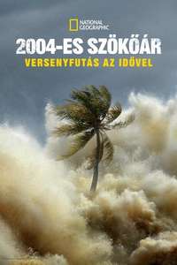 Tsunami: Race Against Time - Posters
