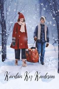 The Snow Sister - Posters
