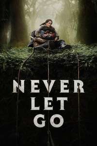 Never Let Go - Posters