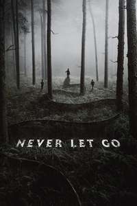 Never Let Go - Posters