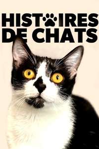 ​The Story of Cats - Posters
