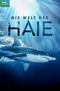 Shark - Posters