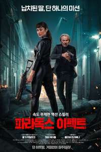 Paradox Effect - Posters