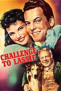 Challenge to Lassie - Posters