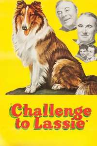 Challenge to Lassie - Posters