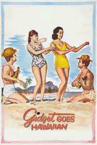 Gidget Goes Hawaiian - Posters