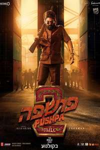 Pushpa 2 - The Rule - Posters