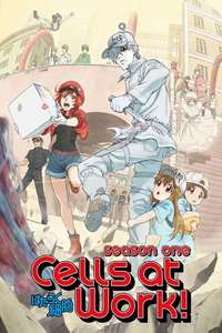 Cells at Work! - Posters