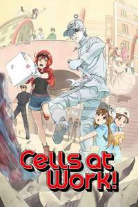 Cells at Work! - Posters