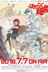 Cells at Work! - Posters