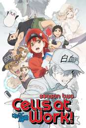 Cells at Work! Cells at Work!!