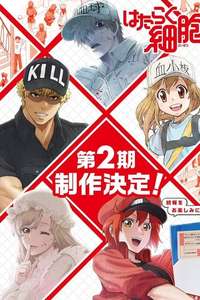 Cells at Work! - Posters