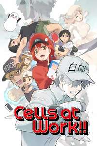 Cells at Work! - Posters