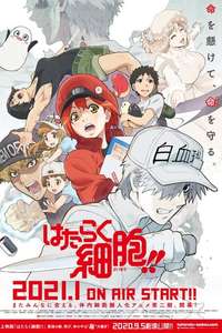 Cells at Work! - Posters