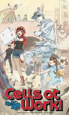 Cells at Work!