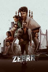 Zebra - Posters