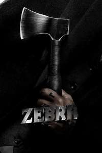 Zebra - Posters