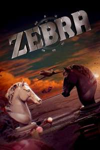 Zebra - Posters