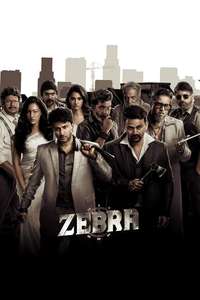 Zebra - Posters