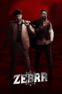 Zebra - Posters