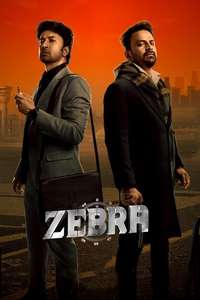 Zebra - Posters
