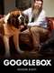 Gogglebox : Season 8