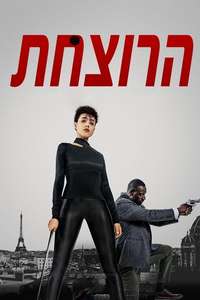 The Killer - Posters