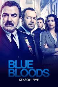 Blue Bloods - Posters