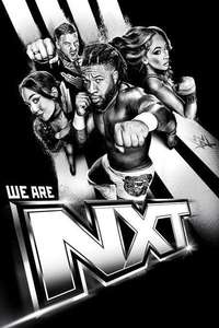 WWE NXT - Posters