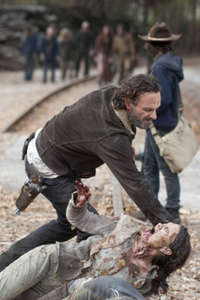 The Walking Dead - Posters