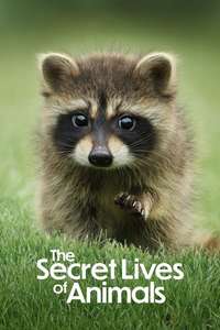 The Secret Lives of Animals - Posters