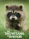 The Secret Lives of Animals