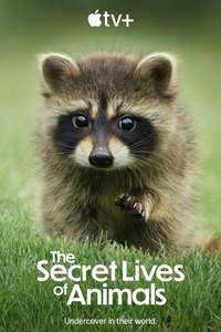 The Secret Lives of Animals - Posters