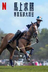 Polo - Posters